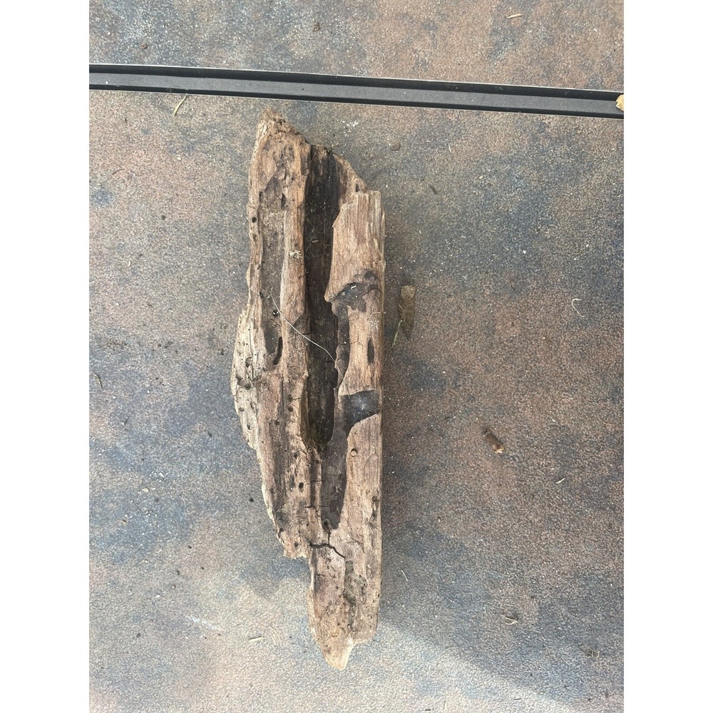 Natural Driftwood for Plants Terrarium Taxidermy Art Projects - Picture 2 of 4